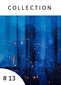 Newsletter #13