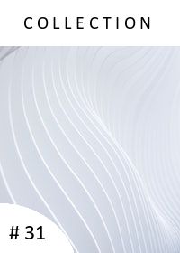 Newsletter #31