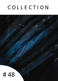 Newsletter #48