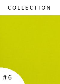 Newsletter #6