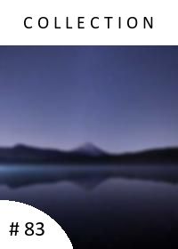 Newsletter #83