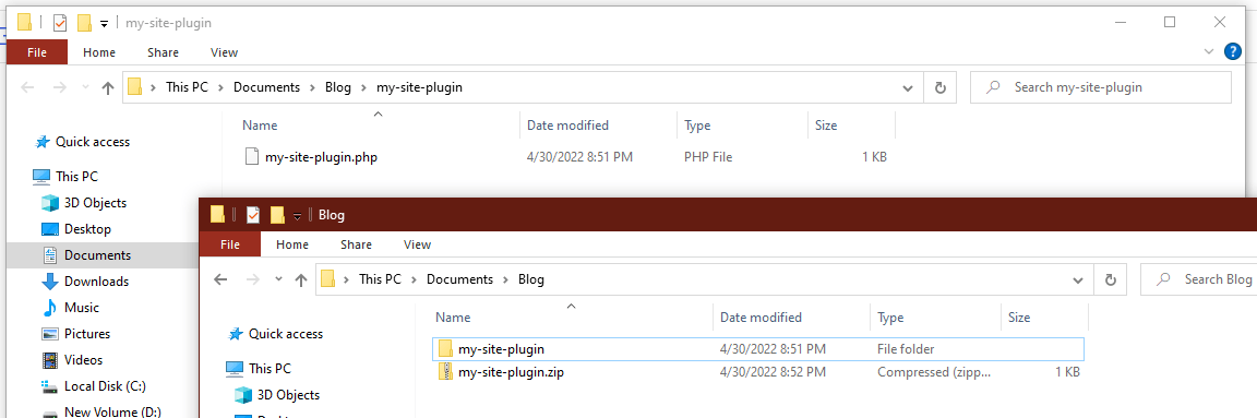 The site plugin's folder with the main plugin file present under it