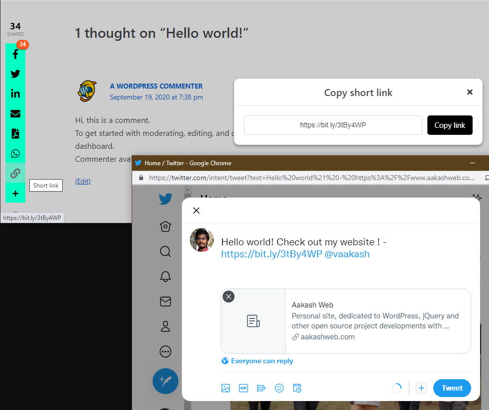 WP Socializer - Bit.ly